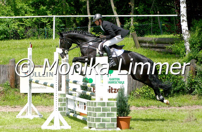 005M5092_Elvita_L Springen_e.jpg